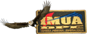 DPE