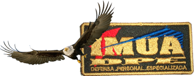 cropped-dpe-aguila.png